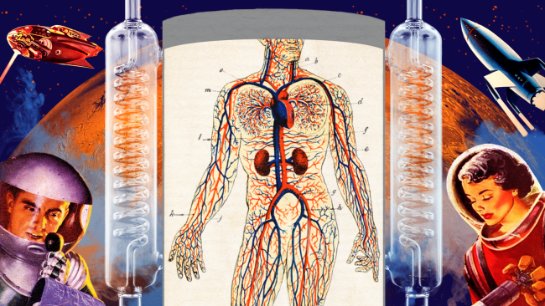 Нужно ли людям обновлять свои тела, чтобы выжить на Марсе?