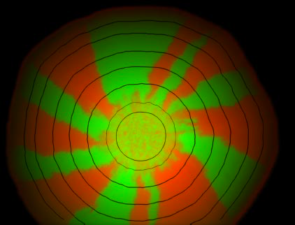 В мире микробов процветает сотрудничество - 4 image