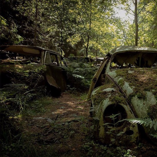 Кладбища «железных лошадей»: немец показал заброшенные авто по всей Европе