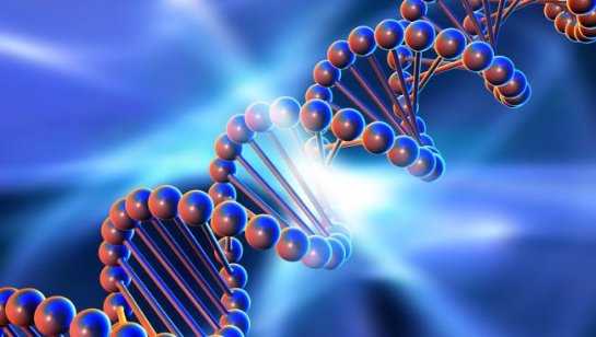 Учёные доказали возможность создания компьютеров на основе ДНК