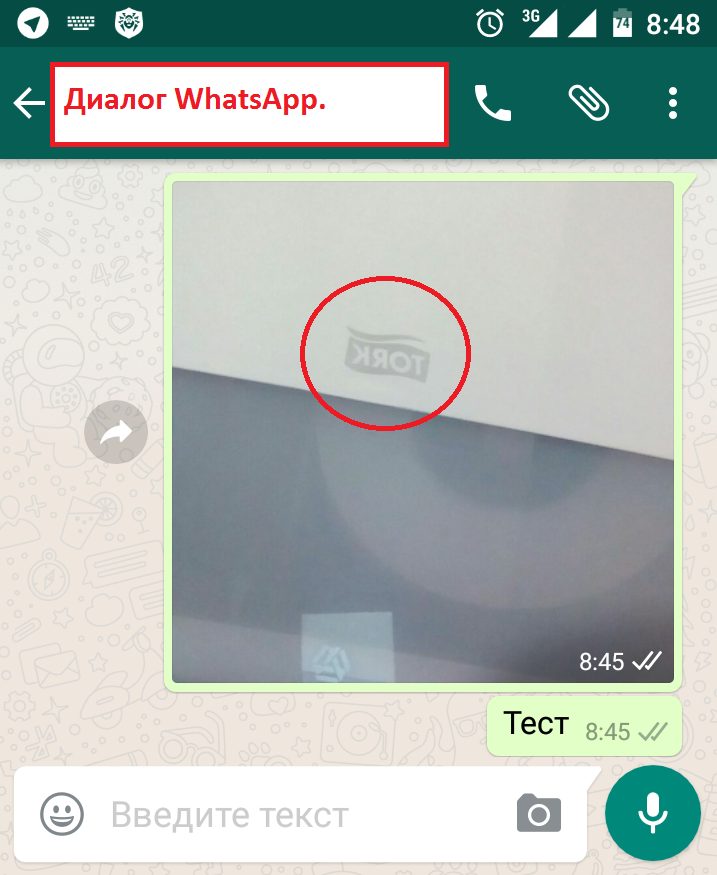 WhatsApp, Telegram и фронтальная камера: как оно работает, как должно работать и еще немного про переписку с саппортом - 2