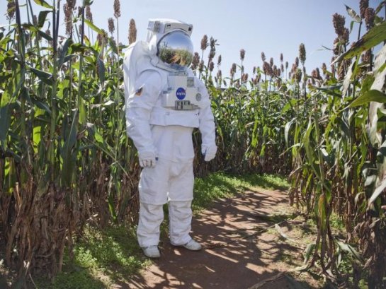 NASA делает ставку на постоянные космические фермы