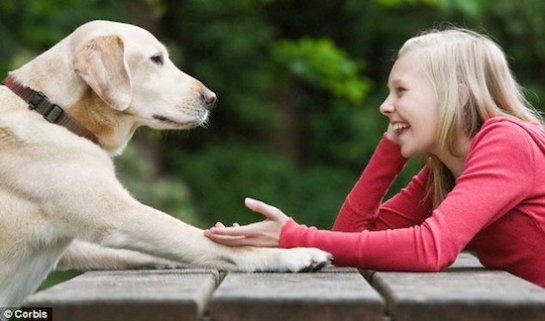 Люди, разговаривающие с домашними животными, имеют высокий интеллект и хорошие возможности социализации Люди, разговаривающие с домашними животными, имеют высокий интеллект и хорошие возможности социализации