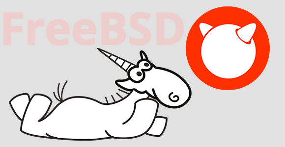 FreeBSD, CWE