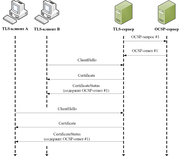 Tls сервер закрыл соединение. TLS V1.2 протокол. TLS схема. Cхема TLS соединения. Сетевые протоколы TLS.