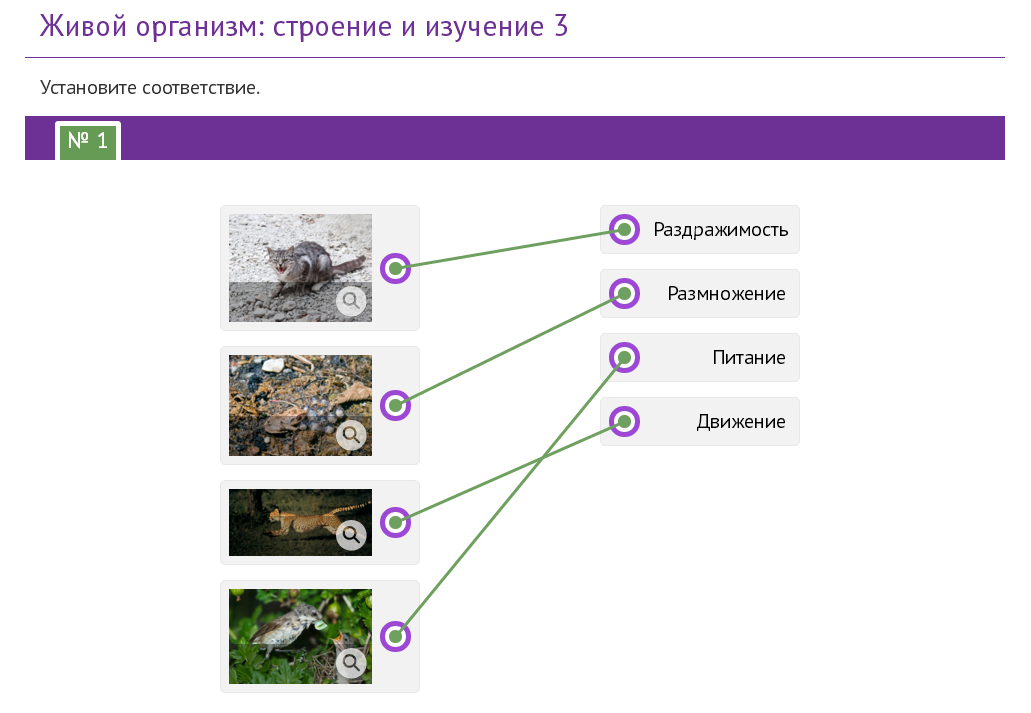 Применение IMS QTI в электронных курсах в формате ePUB - 5 image