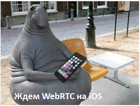 WebRTC, Safari - 2