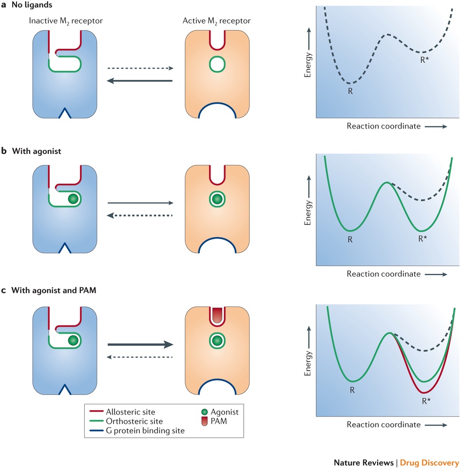 Как лечат сумасшедших. 1.1 — Фармакотерапия: основы и шизофрения - 9