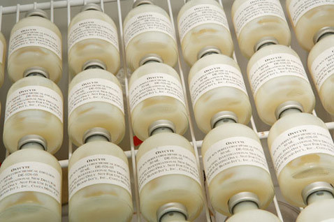 История искусственной крови: как донорами становились мертвецы, быки и киты - 5 image