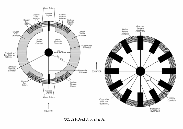 История искусственной крови: как донорами становились мертвецы, быки и киты - 7 image