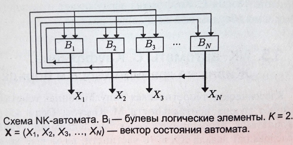 Сложность на границе хаоса, или что общего между сексом, нейронными сетями, микросервисами и организацией компании - 2