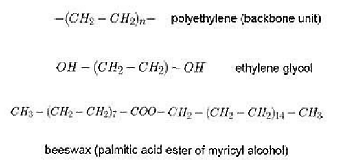 Испанская пчеловод-любитель случайно обнаружила, что личинки большой восковой моли пожирают пластик - 5 Испанская пчеловод-любитель случайно обнаружила, что личинки большой восковой моли пожирают пластик - 5