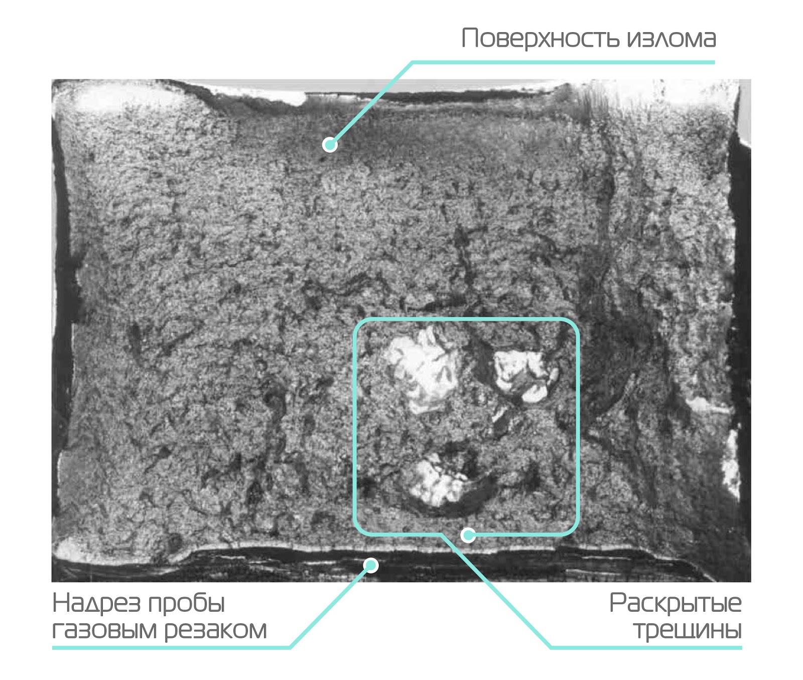 Броня крепка, и танки наши быстры - 3