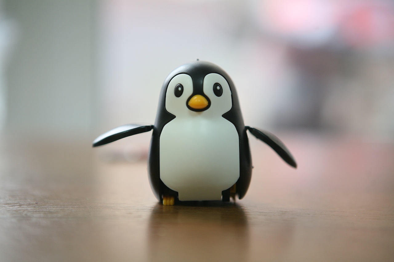 Пингвин на солнечных батареях: забавный конструктор «один в одном» - 11