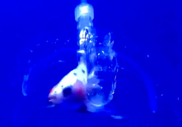 Три медицинских робота, таких же мягких, как люди - 1 image