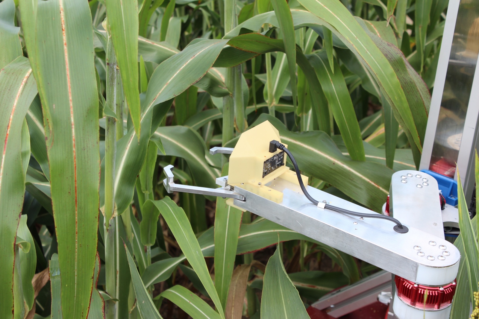 Как машинное зрение может пригодиться на виноградниках - 2 image