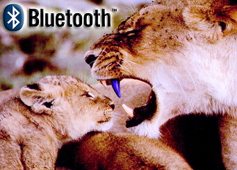 Беспроводной звук. С компьютера и почти по всей квартире - 1 Беспроводной звук. С компьютера и почти по всей квартире - 1