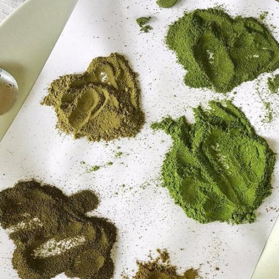 Ученые хотят заменить молоко порошком из дерева Ученые хотят заменить молоко порошком из дерева