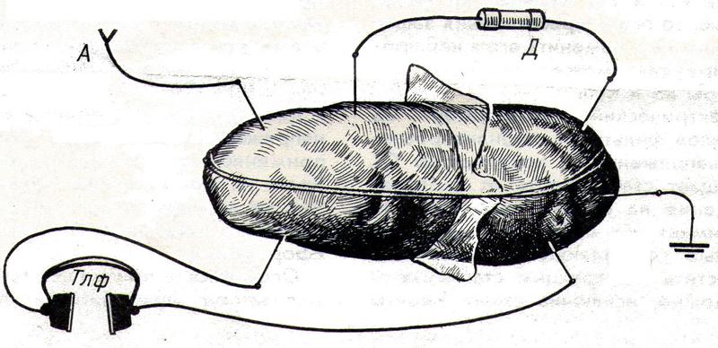 Радиоприемник из … картошки - 3