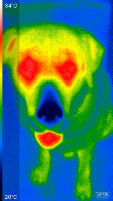 Увидеть невидимое: заглядываем внутрь тепловизора Seek Thermal (и не просто так) - 4