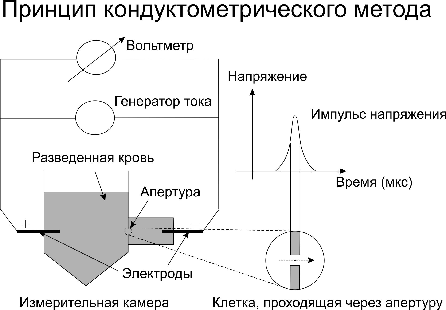 Клинический анализ крови: от светового микроскопа к гематологическим анализаторам - 6