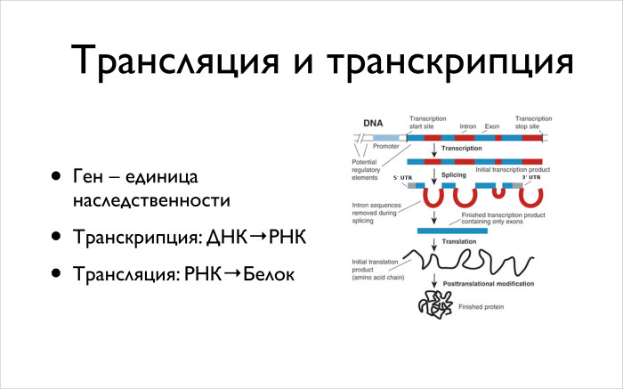 Алгоритмические задачи в биоинформатике. Лекция в Яндексе - 5