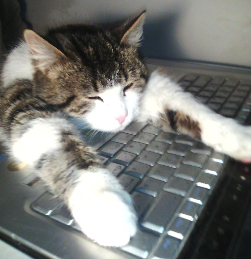 Автоматизация обмена данными Qt форм с SQL базой данных - 11 Автоматизация обмена данными Qt форм с SQL базой данных - 11