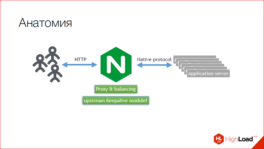 Nginx upstream host. Nginx. Модуль теория. Openresty nginx. Vozlt/nginx-Module-VTS.