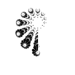 Эволюция фрактальных монстров - 29 Эволюция фрактальных монстров - 29