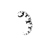 Эволюция фрактальных монстров - 55 Эволюция фрактальных монстров - 55