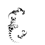 Эволюция фрактальных монстров - 64 Эволюция фрактальных монстров - 64