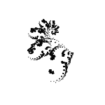 Эволюция фрактальных монстров - 75 Эволюция фрактальных монстров - 75