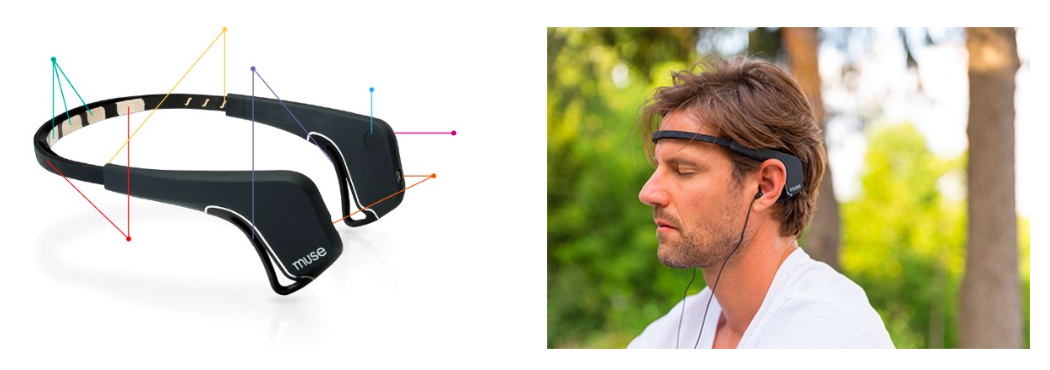 Набор юного биохакера - 38 Набор юного биохакера - 38