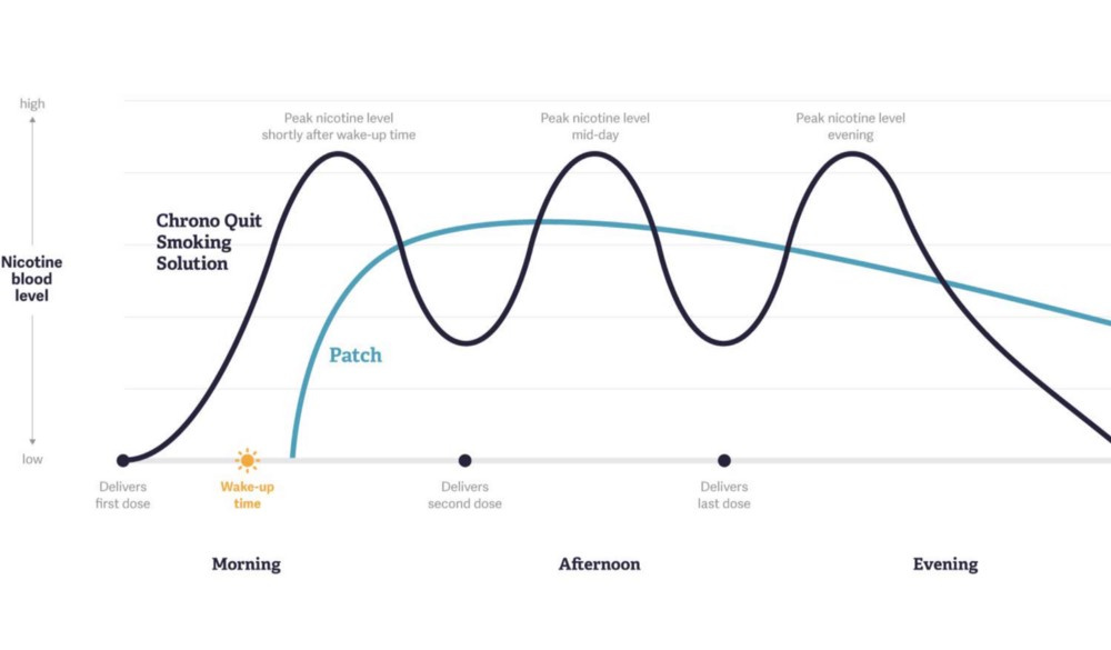 Набор юного биохакера - 48 Набор юного биохакера - 48
