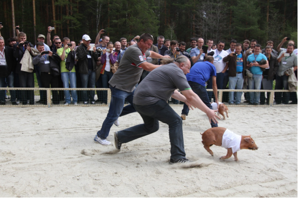 КРОС — 2017: второй заход в Сочи - 8 image