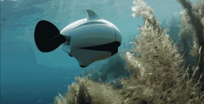 Подводный дрон BIKI позаимствовал принцип перемещения у рыб
