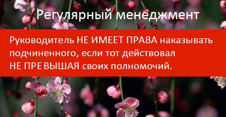 Доставляя неприятности: о профессиональных наказаниях подчиненных в интеллектуальной IT-среде - 8