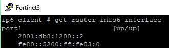 Начинаем работать с IPv6 в операционной системе FortiOS - 3 Начинаем работать с IPv6 в операционной системе FortiOS - 3