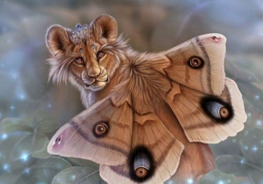 Машинное обучение — магия или наука? - 6 Машинное обучение — магия или наука? - 6