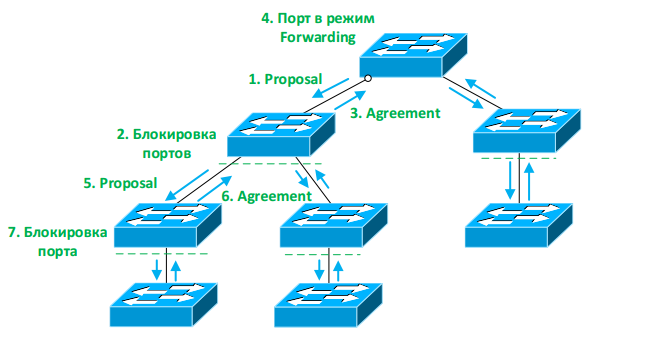 Rapid STP - 2