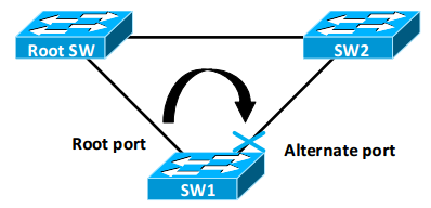 Rapid STP - 3