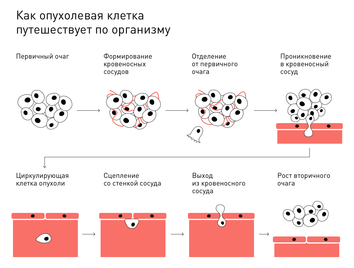 Что за болезнь: рак - 10 Что за болезнь: рак - 10