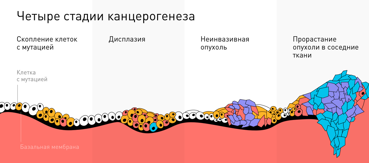 Что за болезнь: рак - 6 Что за болезнь: рак - 6