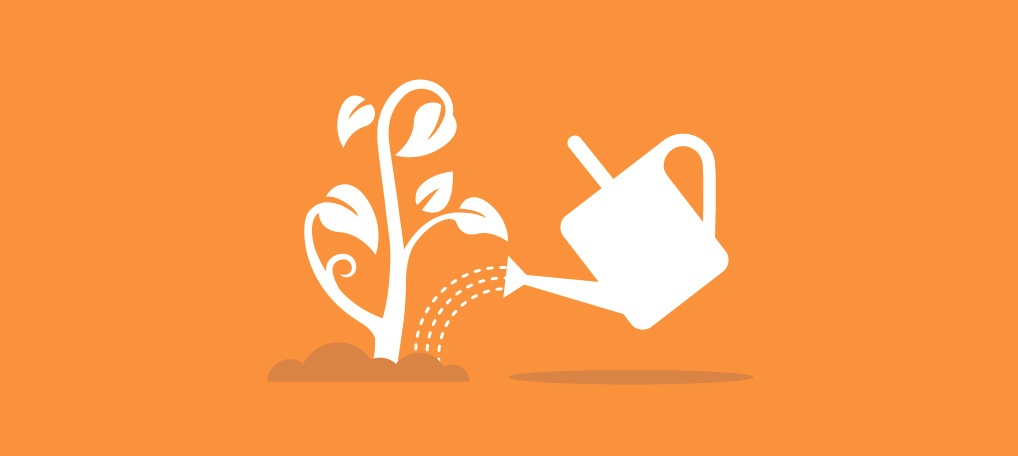 Интернатура в геймдеве: быть или не быть? Первый опыт краснодарской студии Plarium - 1 Интернатура в геймдеве: быть или не быть? Первый опыт краснодарской студии Plarium - 1