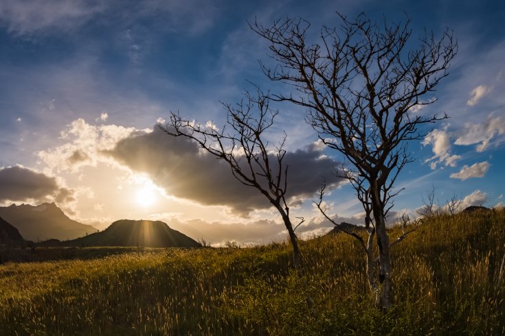 Появились первые снимки, сделанные объективом AF-S Fisheye Nikkor 8-15mm f/3.5-4.5E ED