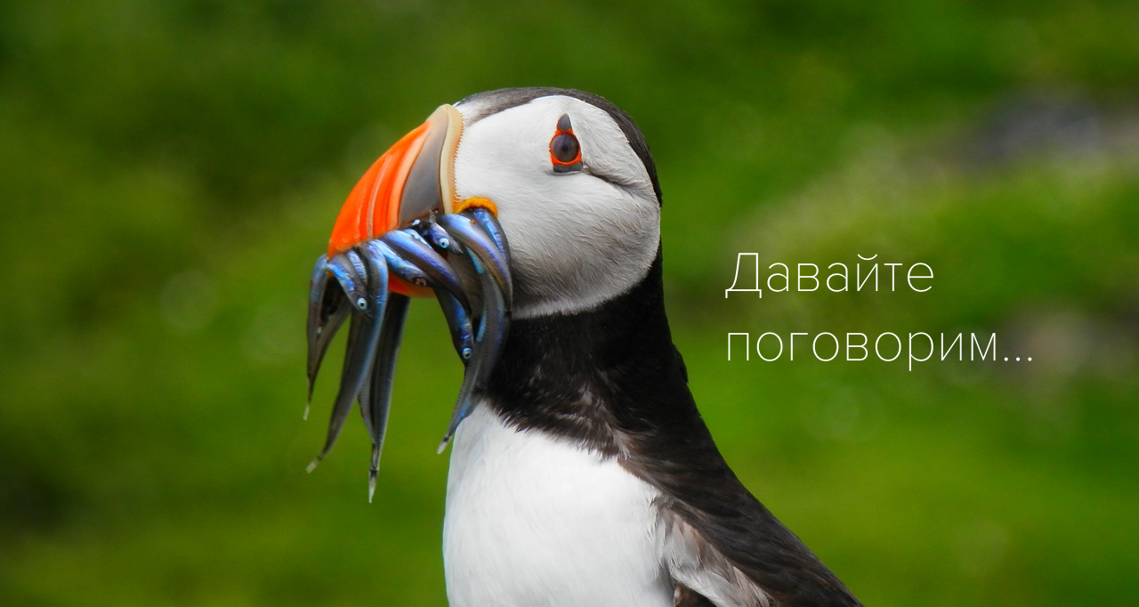 Законы и проекты, которые изменят лицо российского IT. Часть I - 1 Законы и проекты, которые изменят лицо российского IT. Часть I - 1