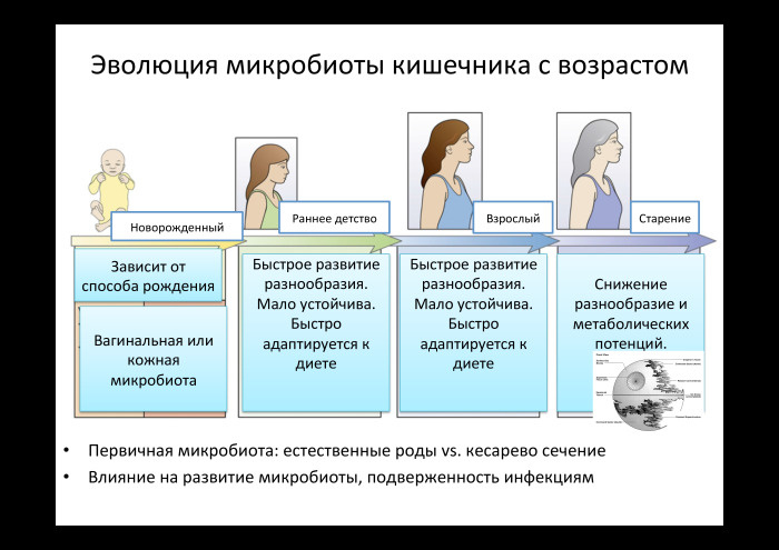 Технологии больших данных в работе с бактериями микробиоты. Лекция в Яндексе - 2