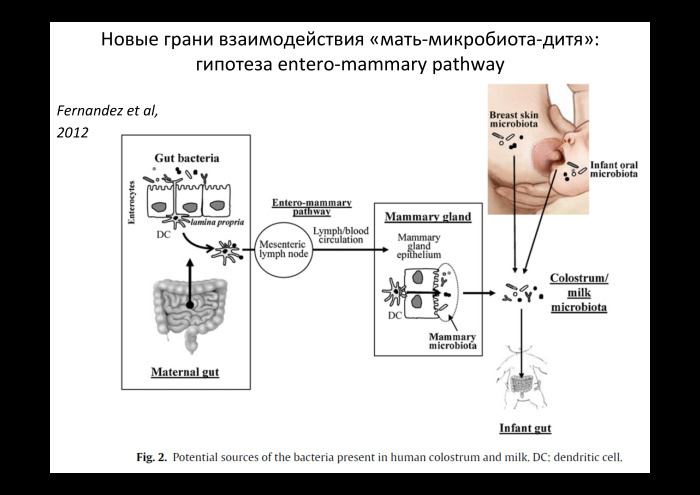 Технологии больших данных в работе с бактериями микробиоты. Лекция в Яндексе - 3