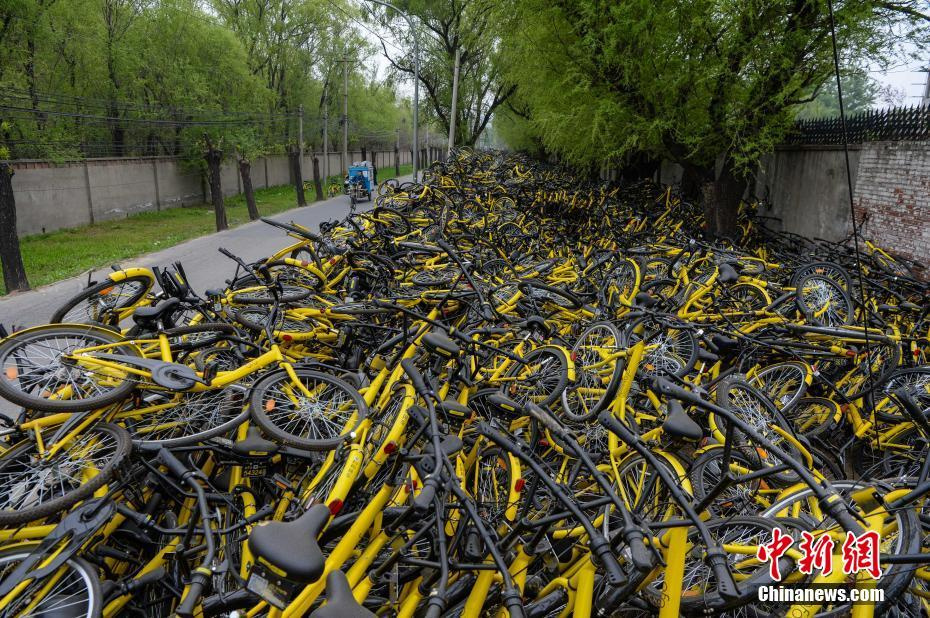 Китайский байкшеринг на примере Mobike и ofo - 8 Китайский байкшеринг на примере Mobike и ofo - 8
