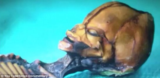 В Перу нашли мумию пришельца В Перу нашли мумию пришельца